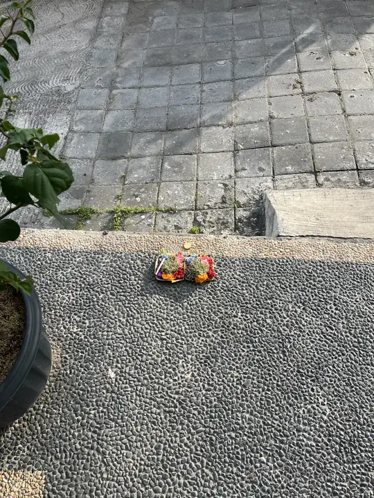 Two small offerings on a doorstep, late in the afternoon.