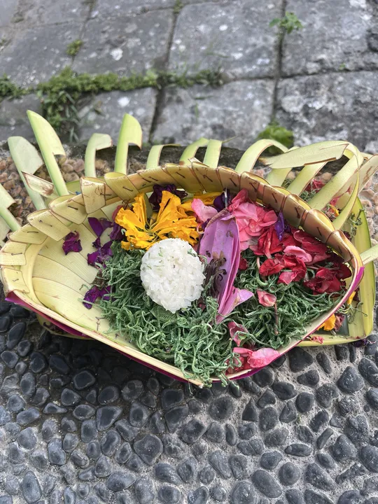A fresh offering in its palm-leaf tray, with flowers, curly fern and a ball of rice.