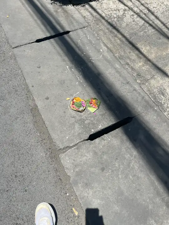Two offerings on the sidewalk. People just walk around them.